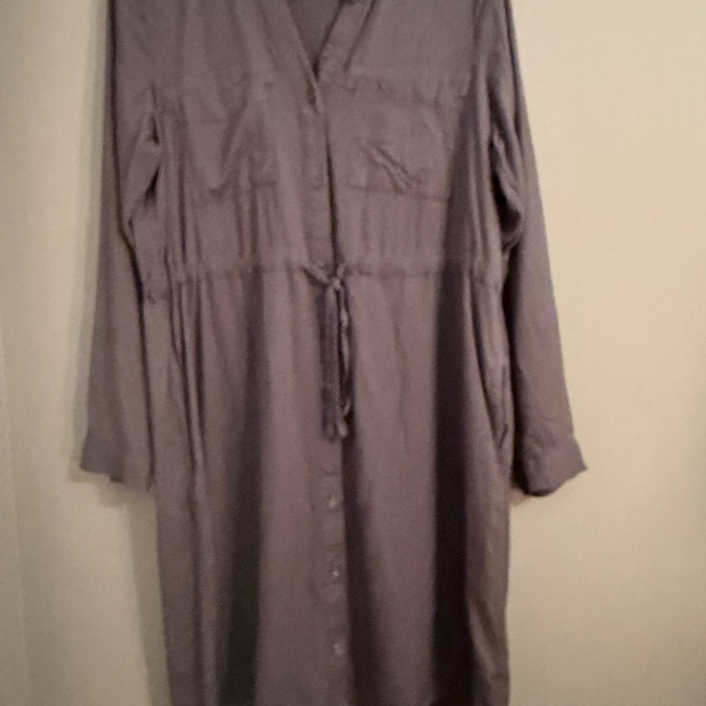 AND Gray Button-Up Shirt Dress